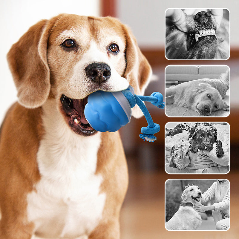 Sound-Activated LED Electronic Toy for Dogs