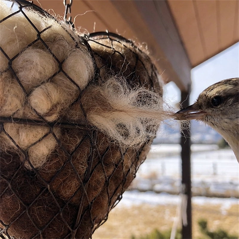 Heart-Shaped Iron Bird Nesting Material Holder with Hanging Chain