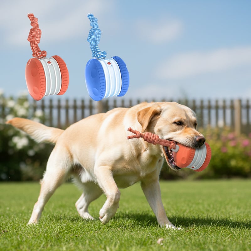 Motion-Activated Dog Toy with Dual Speed Settings