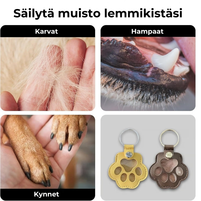 Pet Love Keychain - Keep Your Companion Close, Healing Your Heart Daily