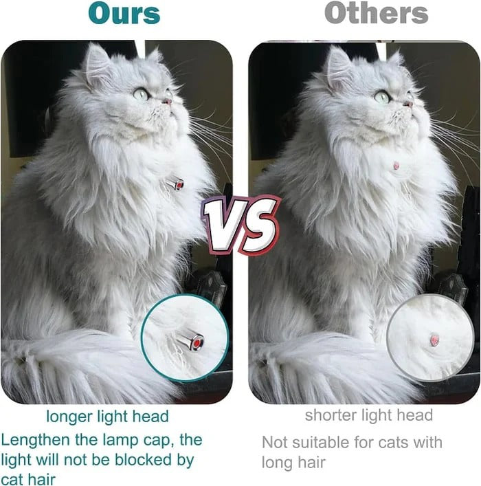Adjustable Automatic Laser Collar for Cats – Available in Green or Pink