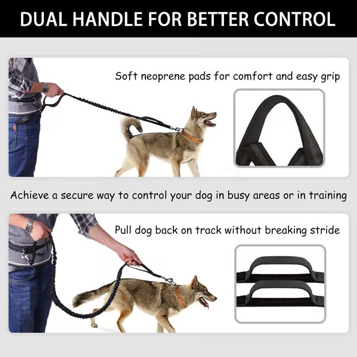 Bungee Dog Leash for Hands-Free Use – Reflective Waist Strap for Running, Hiking, and Walking