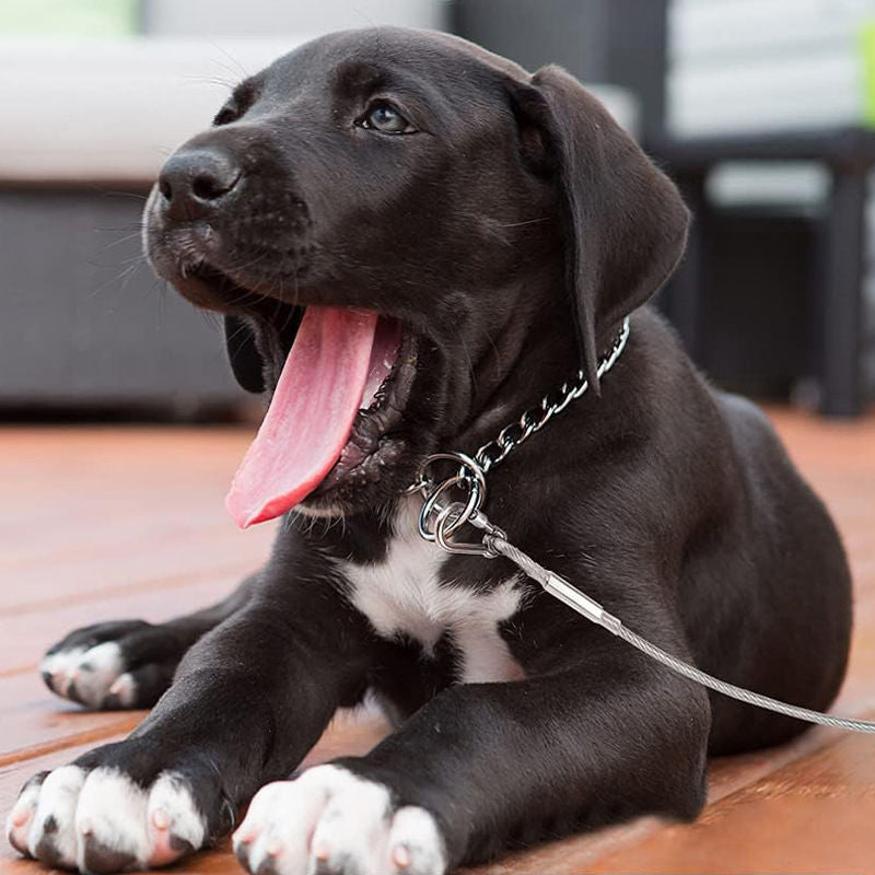 Durable Chew-Proof Dog Leash – Outdoor Safety Leash