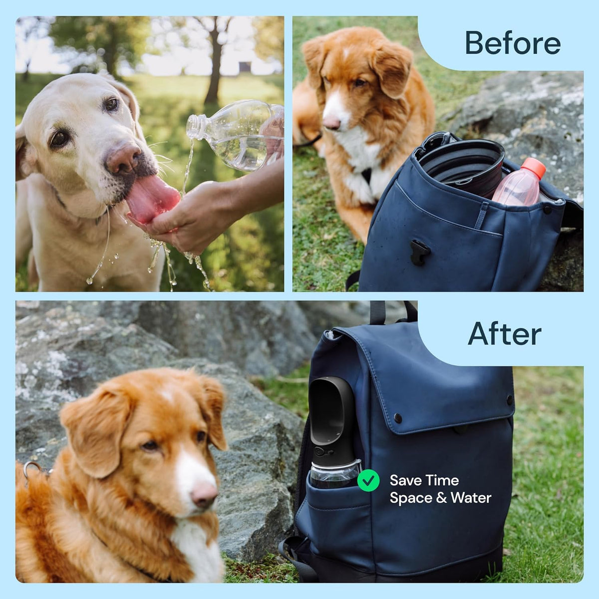 19oz Travel Dog Water Bottle with Leak-Proof Bowl