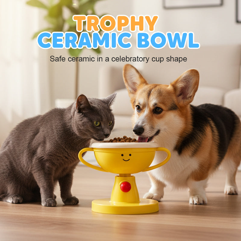 Ergonomic Food Dish – Adjustable Ceramic Feeding Bowl
