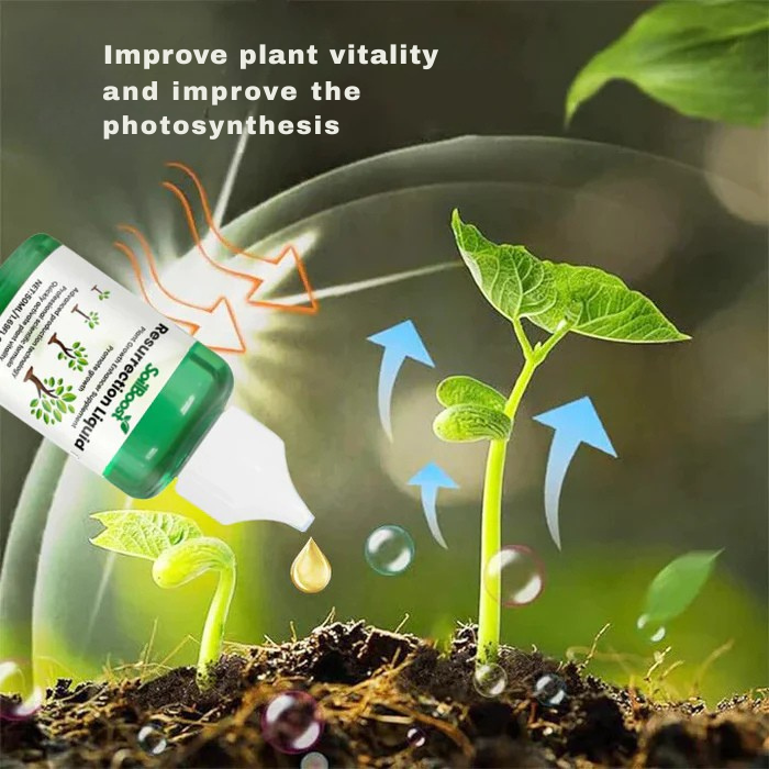 RadiantRoot™ Growth Elixir — Ignite Fierce, Vibrant Life in Every Leaf and Root