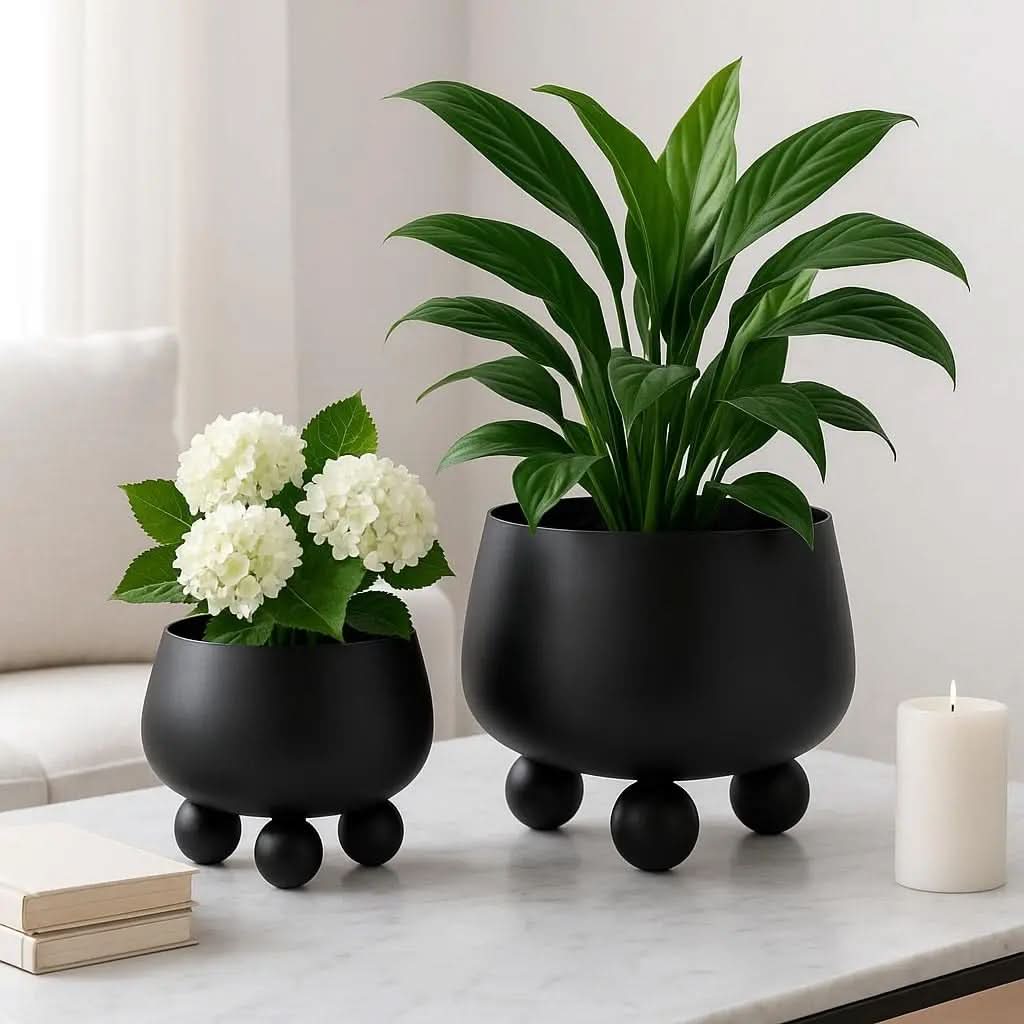 Contemporary Ceramic Plant Pot Collection