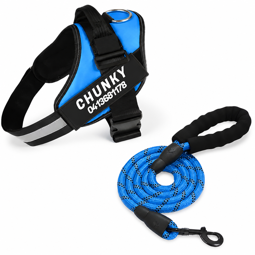 Adjustable No-Pull Front-Clip Dog Harness (Custom Engraving)