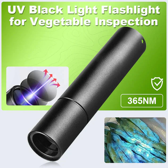 Compact UV Light 365 nm – Ideal for Pet Stains and Currency