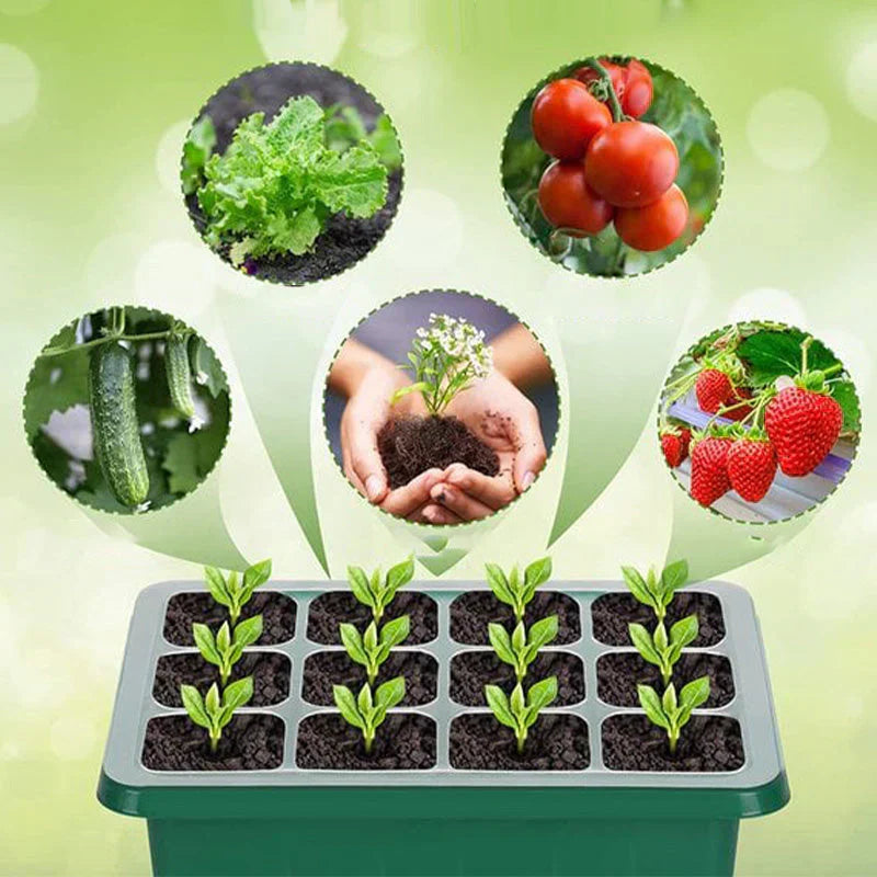 LED Grow Light Kit for Indoor Plants – Includes Hood & 4 Packs of 24 Cells