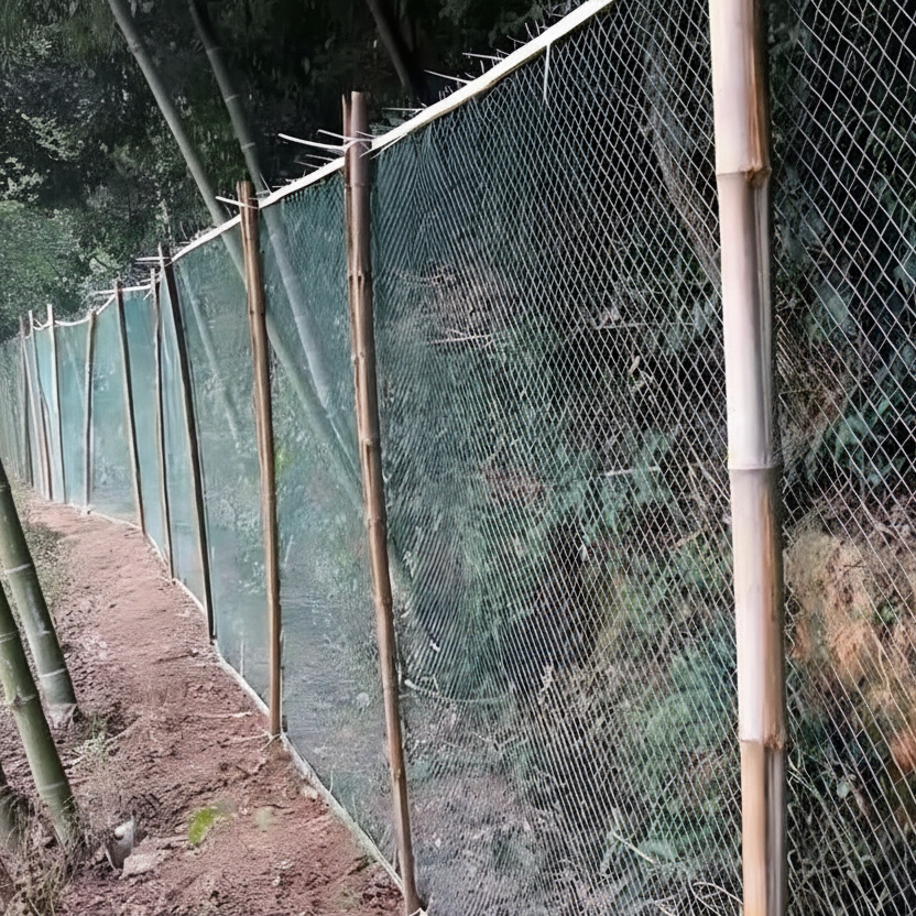 OrchardShield - Premium UV-Resistant Netting for Crops