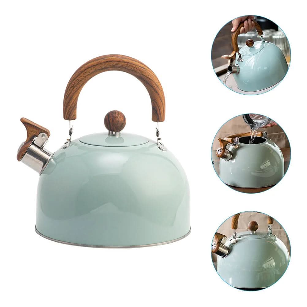 3L Stainless Steel Kettle with Whistle and Heat-Resistant Handle