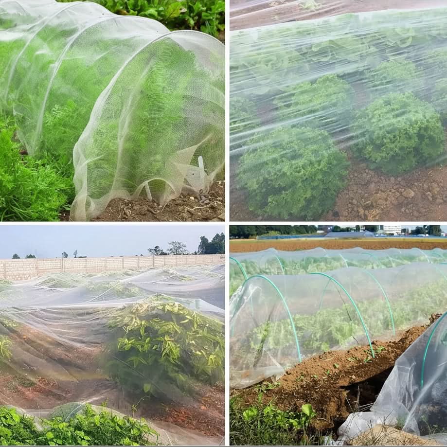 Garden Netting for Plant Protection – Essential Care for Your Garden