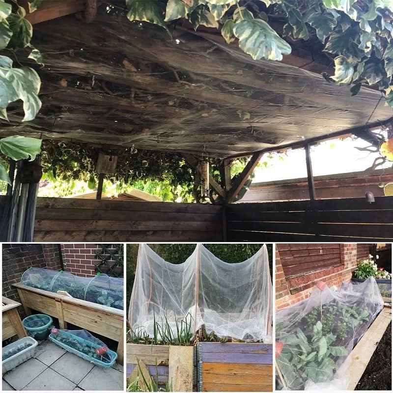 Garden Netting for Plant Protection – Essential Care for Your Garden