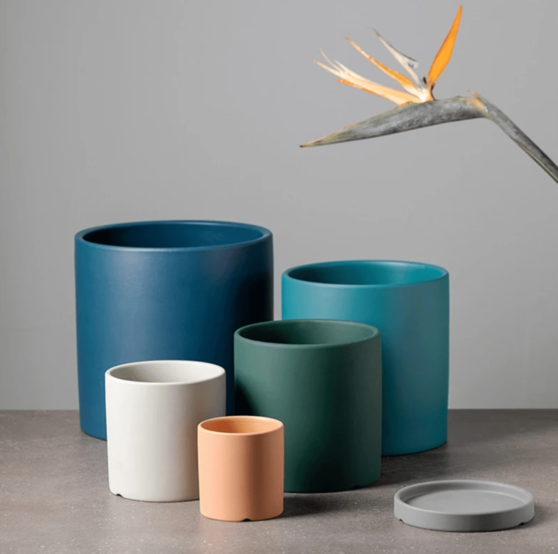 Flower Pot with Drainage Hole and Saucer | Matte Finish | Nordic Style