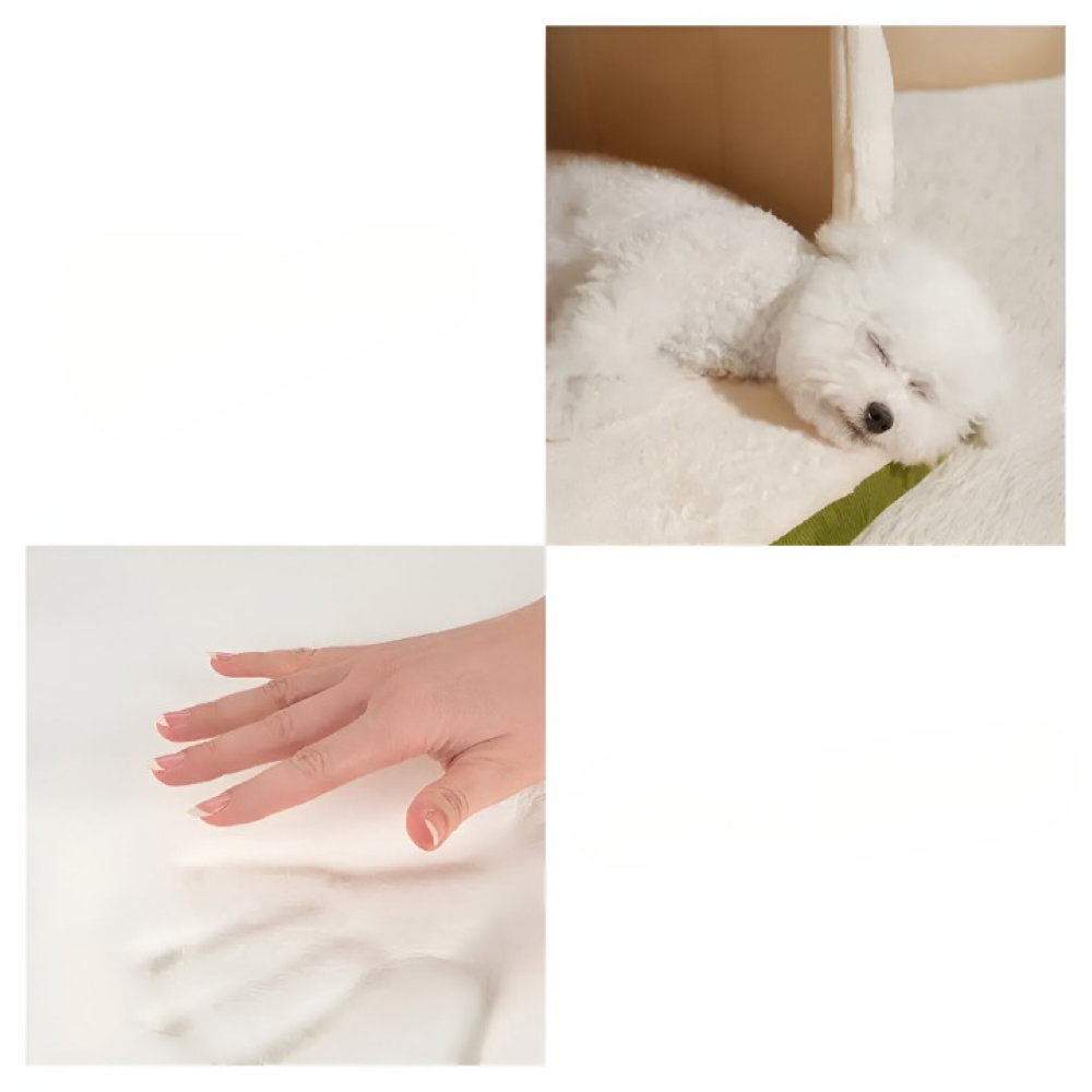 Indoor Pet House - 2-in-1 Small Dog Cave and Covered Cat Bed Tent