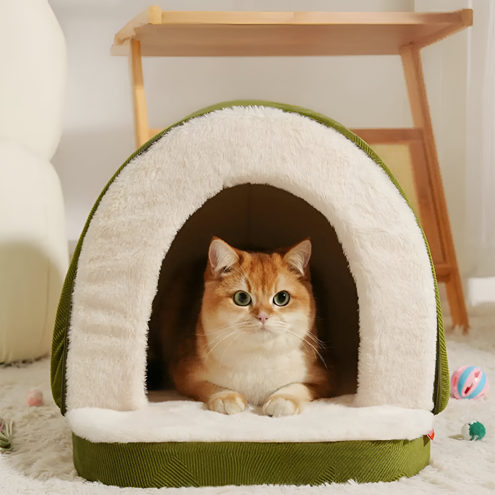 Indoor Pet House - 2-in-1 Small Dog Cave and Covered Cat Bed Tent