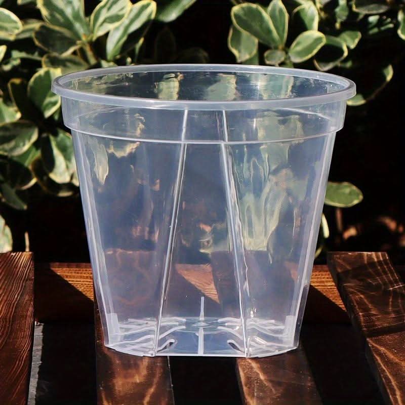 Transparent Planters for Root Observation and Healthy Plant Growth