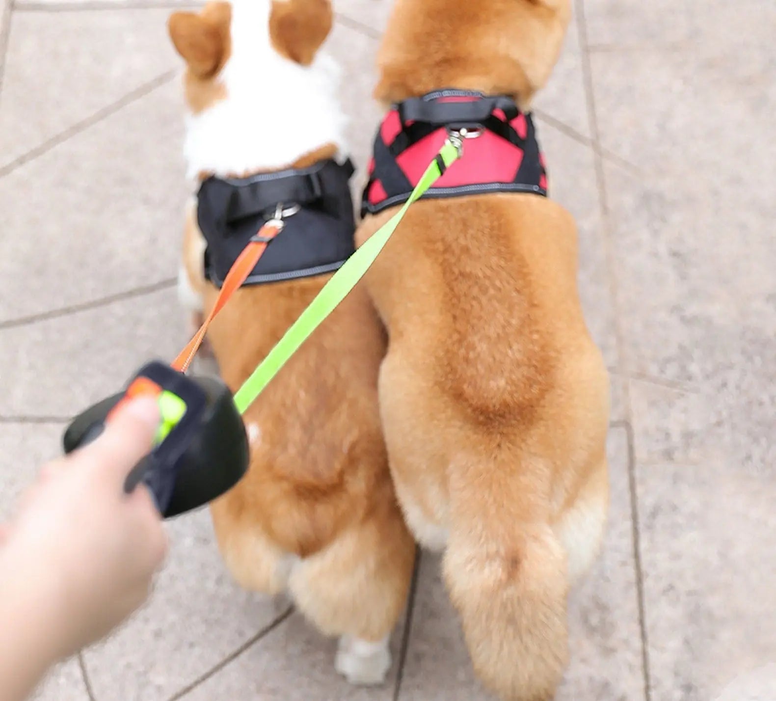 LED Flashlight Dog Leash – Dual Retractable Design for Walking Two Dogs