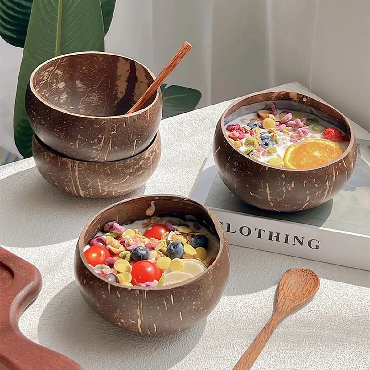 Natural Coconut Shell Bowl Set with Spoon