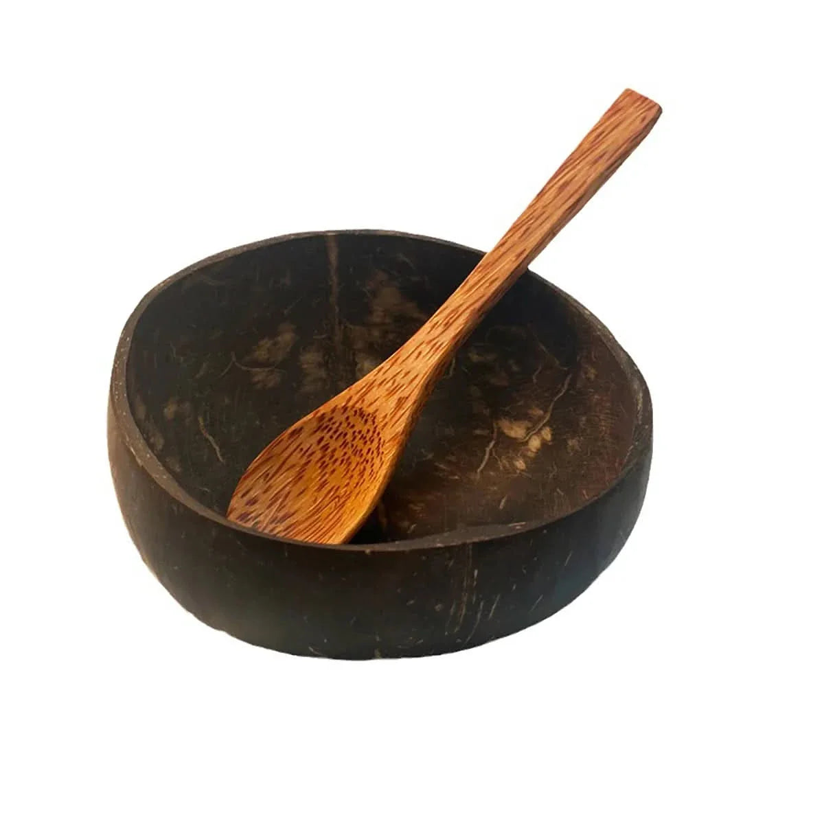 Natural Coconut Shell Bowl Set with Spoon