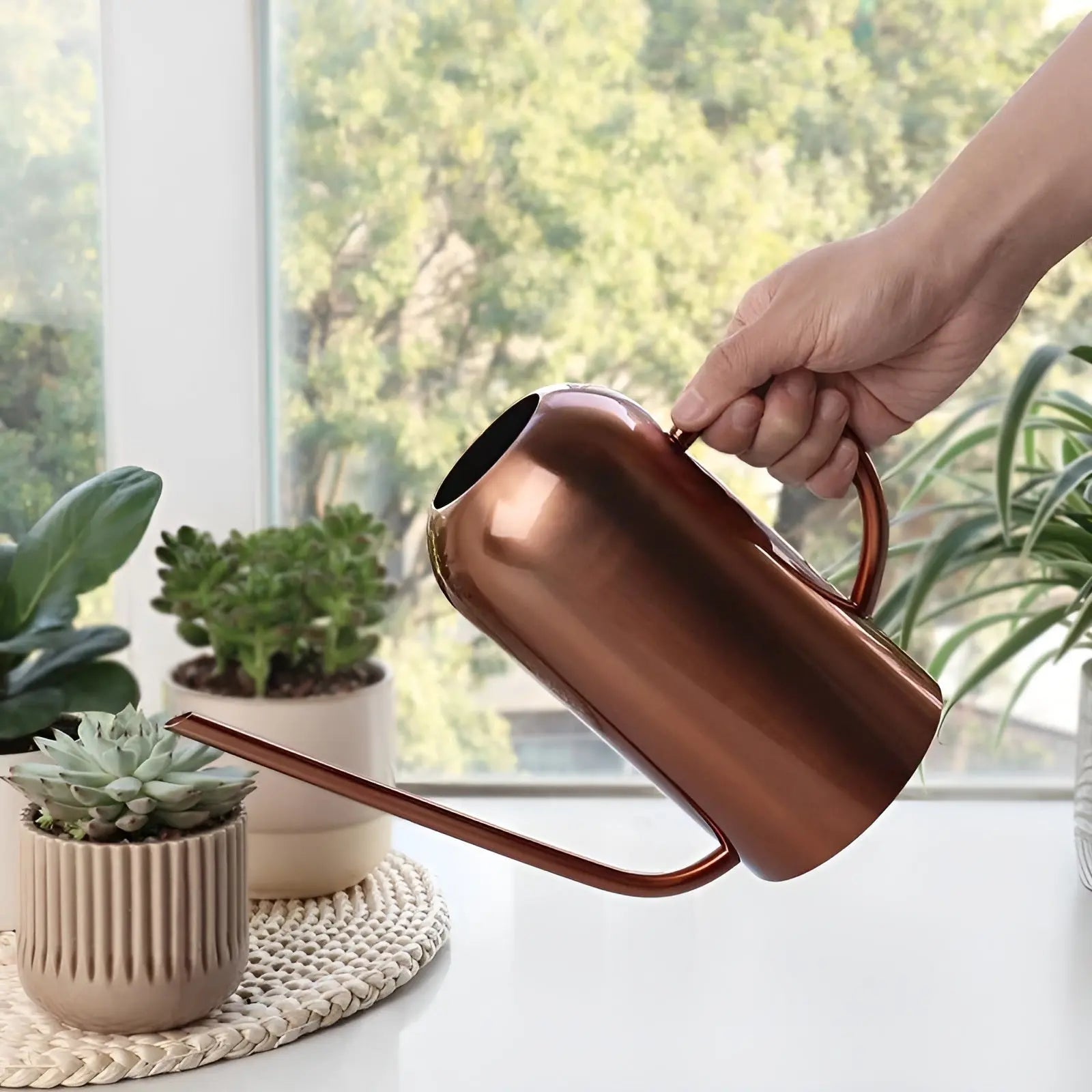 Watering Can in Stainless Steel – Long Spout for Accurate Watering