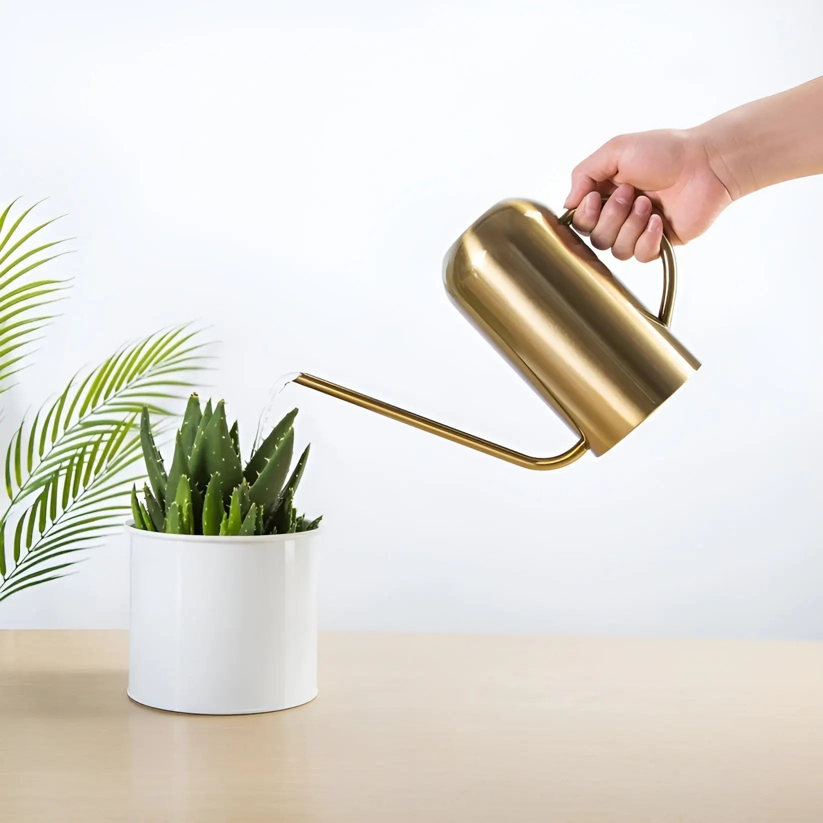 Watering Can in Stainless Steel – Long Spout for Accurate Watering