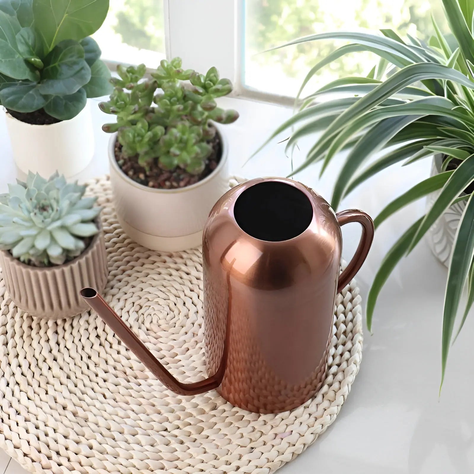 Watering Can in Stainless Steel – Long Spout for Accurate Watering