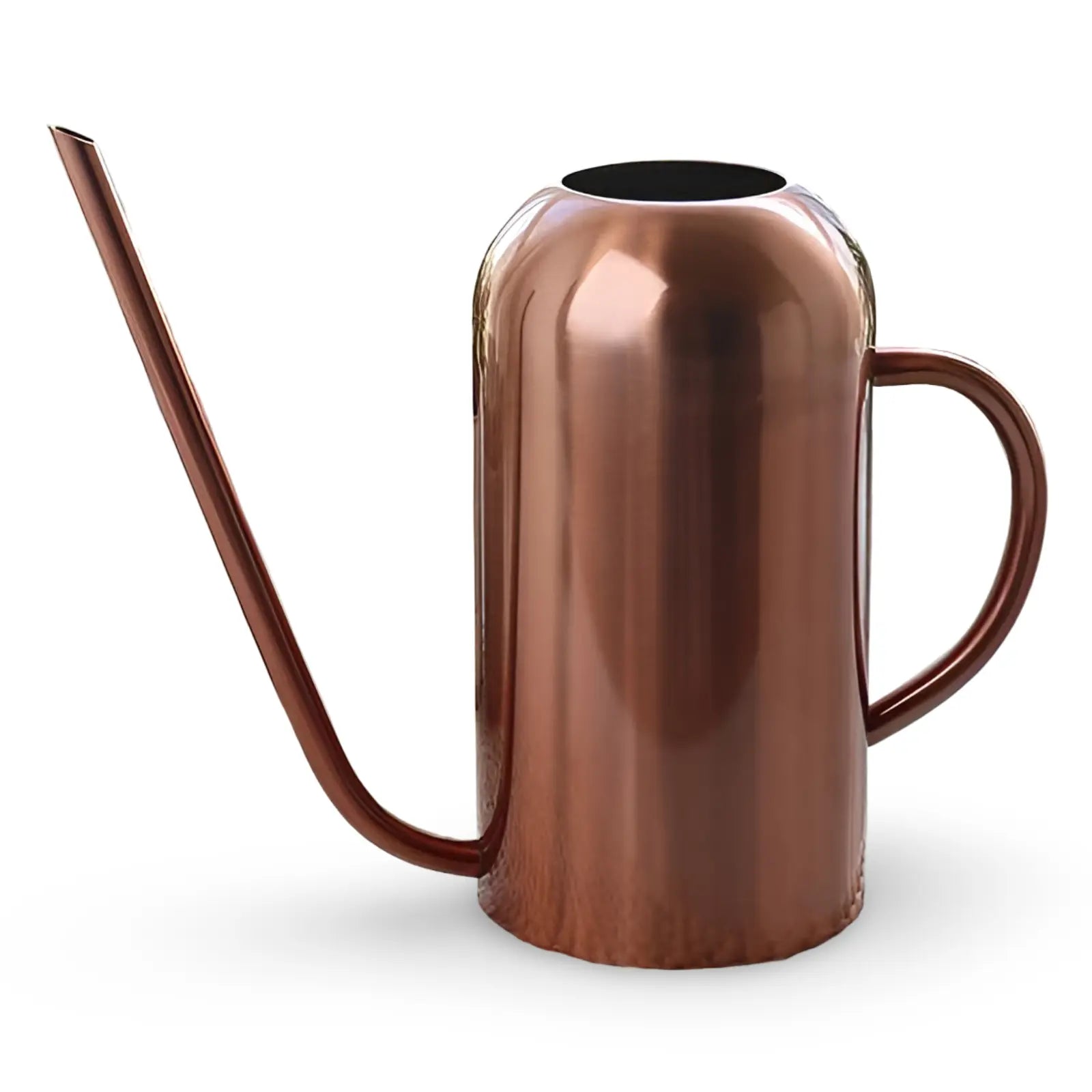 Watering Can in Stainless Steel – Long Spout for Accurate Watering