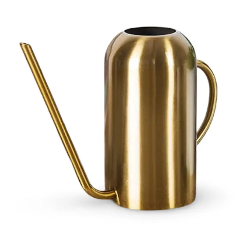 Watering Can in Stainless Steel – Long Spout for Accurate Watering