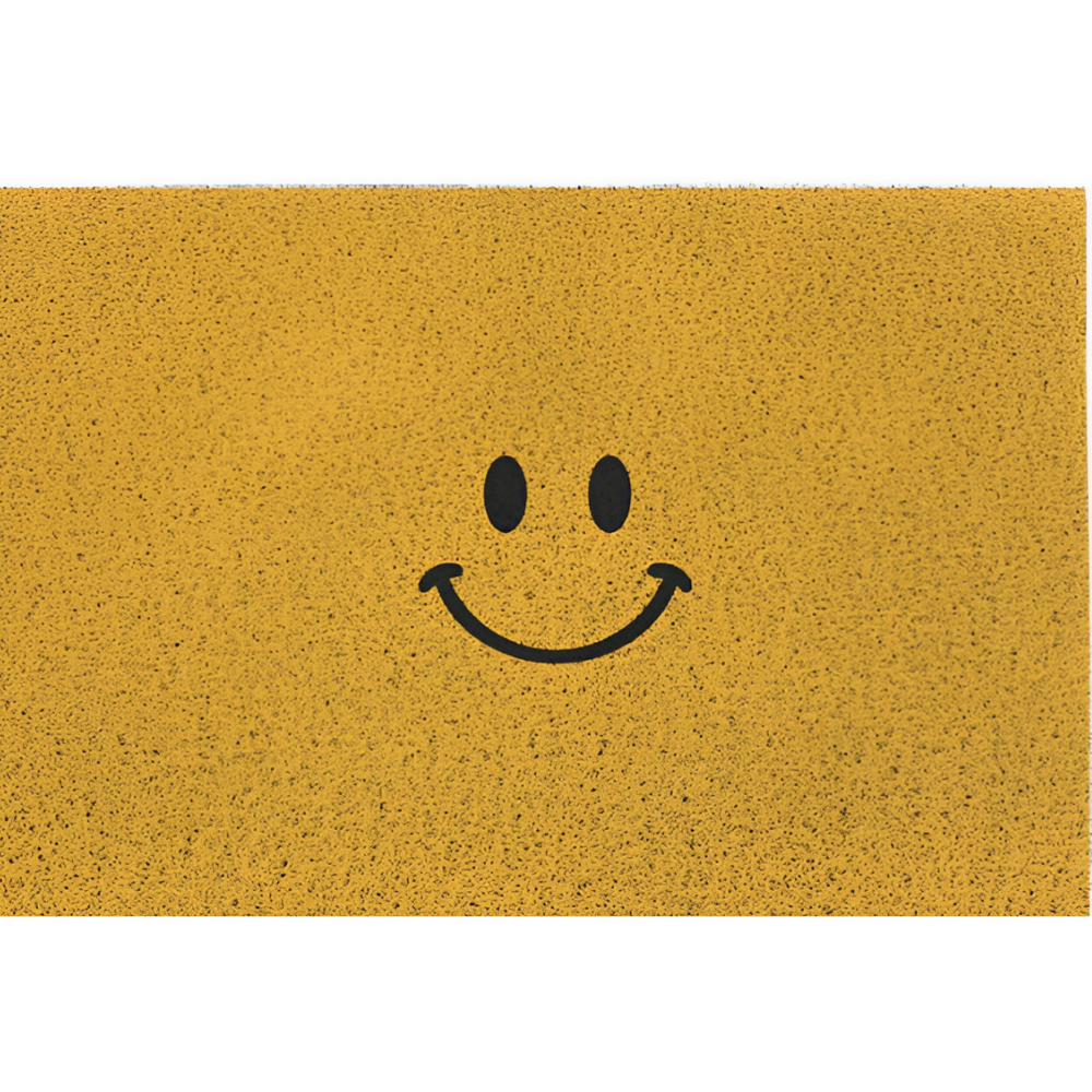 Non-Slip Door Mat | Absorbs Dirt and Moisture | Safe Grip