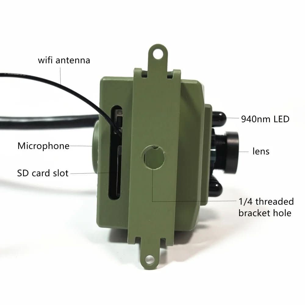 1080p HD Wi-Fi Bird Camera with Motion Sensor for Wildlife Observation