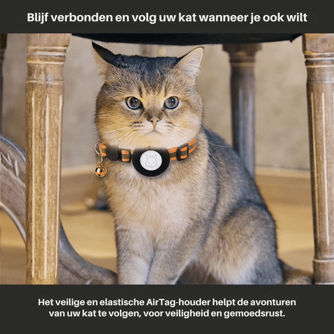 Secure and Visible GPS Collar for Your Adventurous Cat