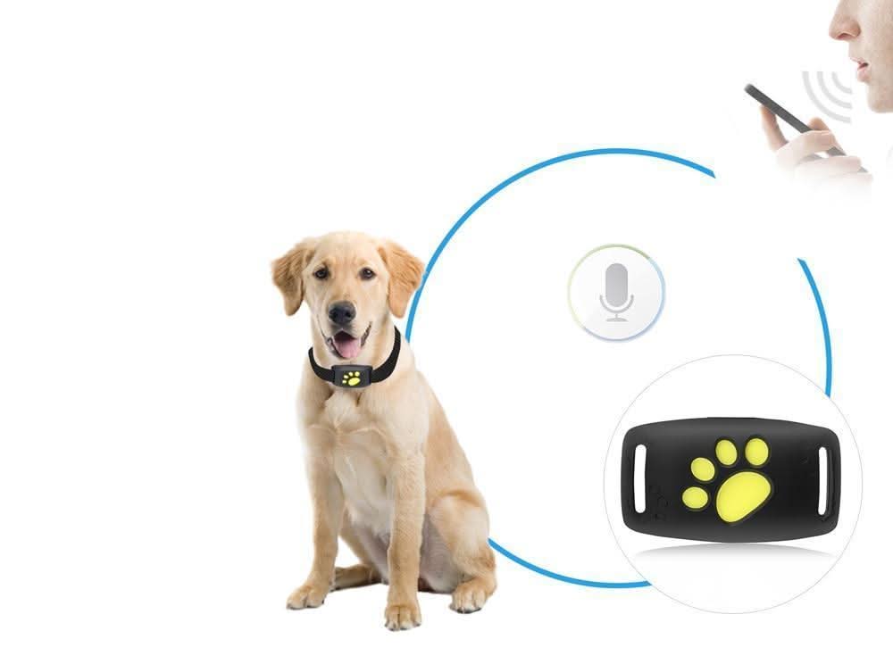 Smart Cat Locator – Real-Time Tracking Without Fees