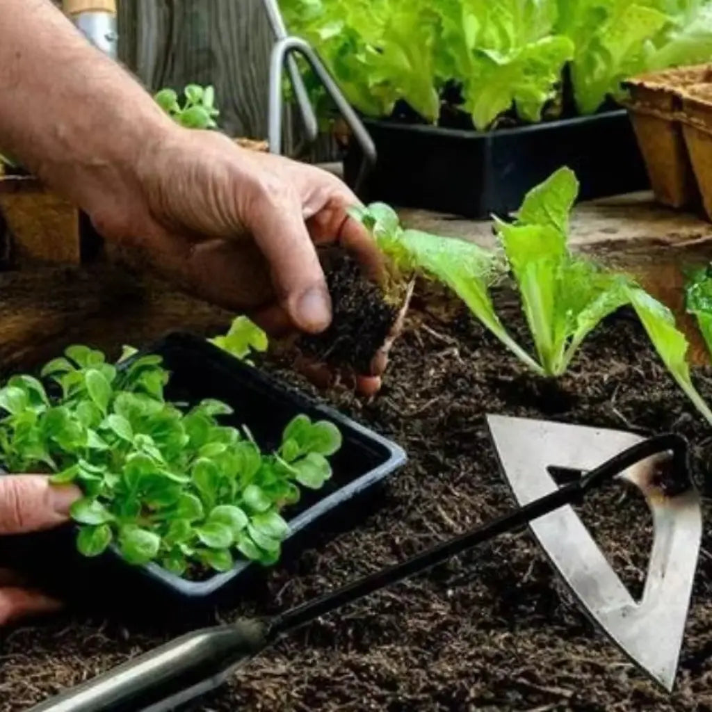 Upright Weed Puller with Hollow Blade – No Bending Required