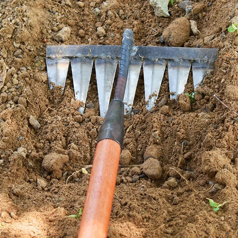 Garden Hoe in Carbon Steel – Sharp Tines for Soil Aeration and Weeding