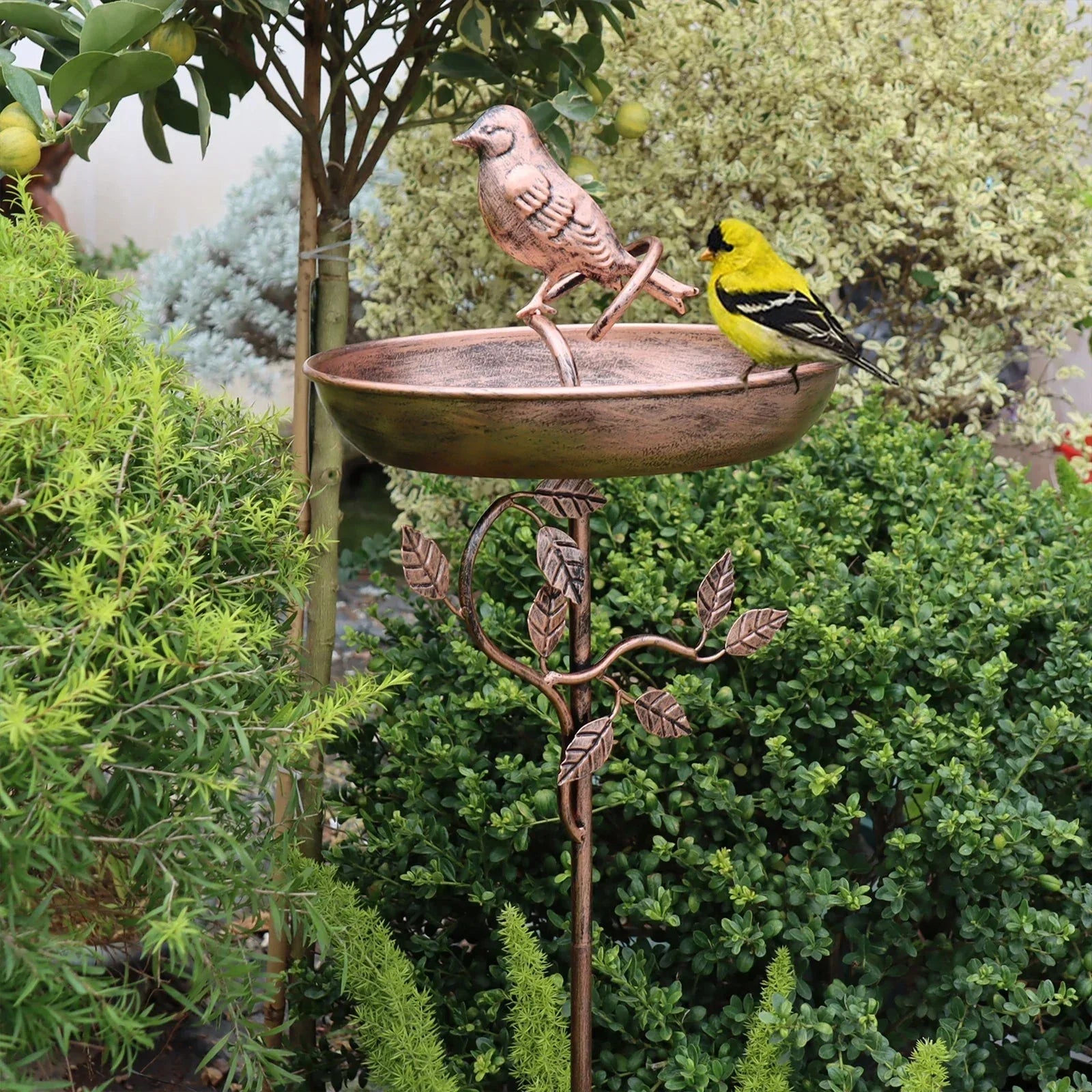 Bird Bath for Garden | Decorative Bowl | Durable Stake