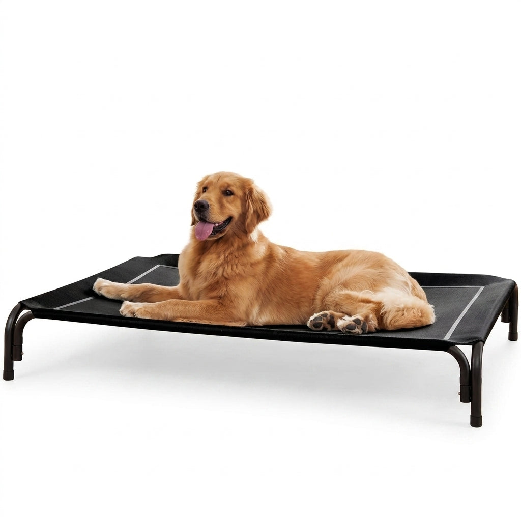 Spacious Dog Bed with Breathable Mesh for Indoor and Outdoor Comfort