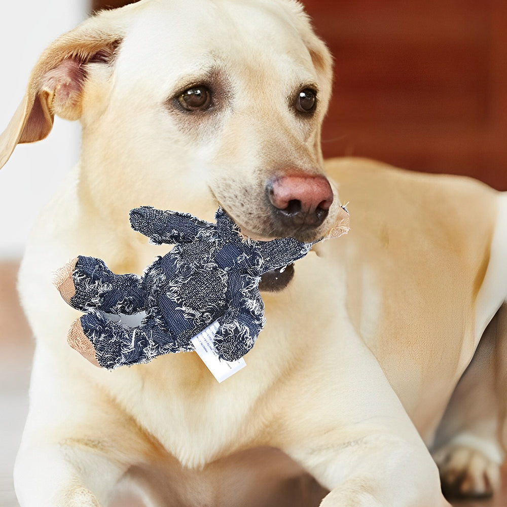 Polyester Bear Dog Toy with Squeaker Feature