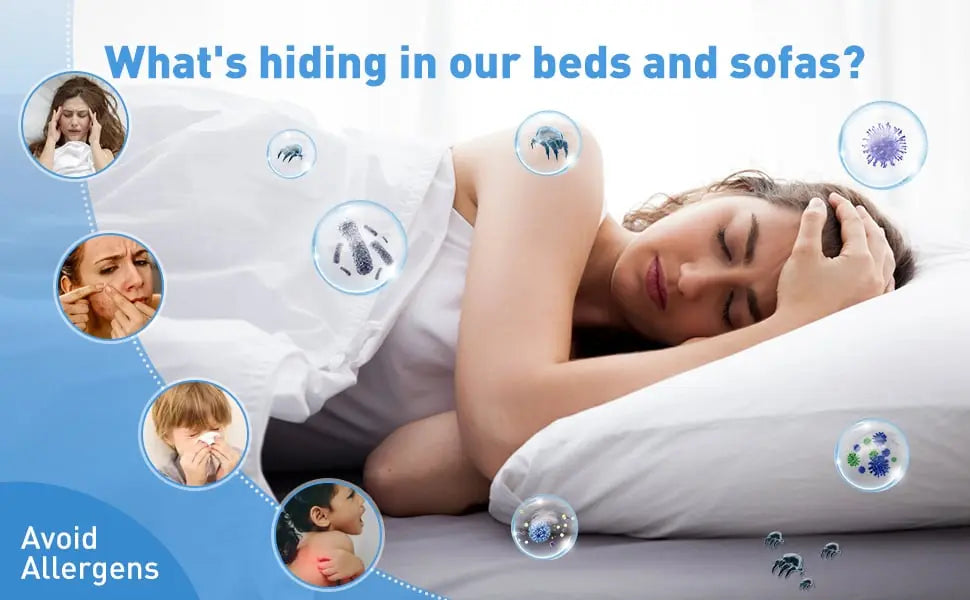 Fabrics Handheld Vacuum – Eliminates Dust Mites from Bed and Sofa
