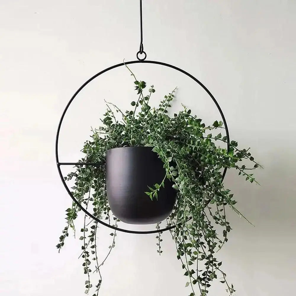 Oval or Round Frame Metal Hanging Planter with Chain