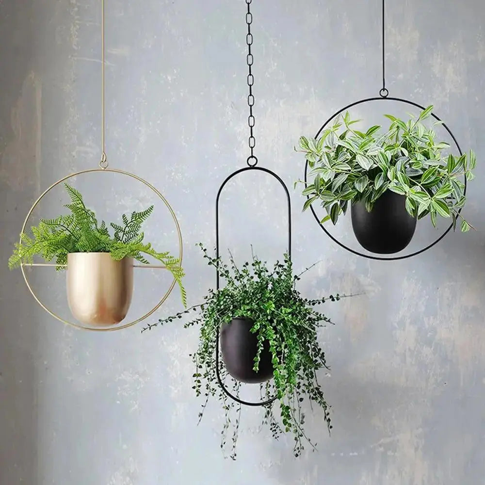 Oval or Round Frame Metal Hanging Planter with Chain