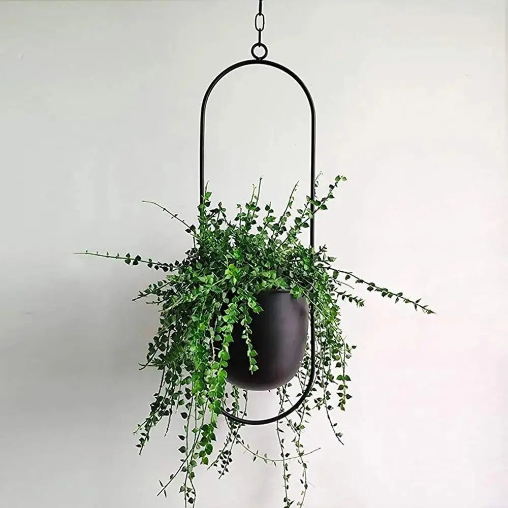 Oval or Round Frame Metal Hanging Planter with Chain