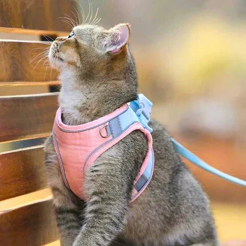 Reflective Safety Stripes Cat Harness and Leash – Comfortable Design