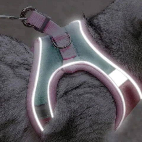 Reflective Safety Stripes Cat Harness and Leash – Comfortable Design