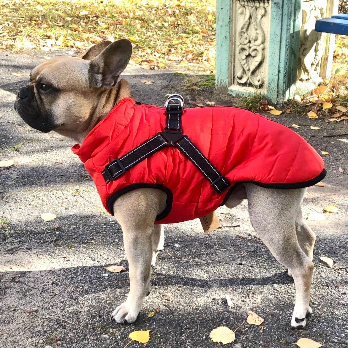 Dog Jacket | Water- & Wind-Resistant | Built-in Harness