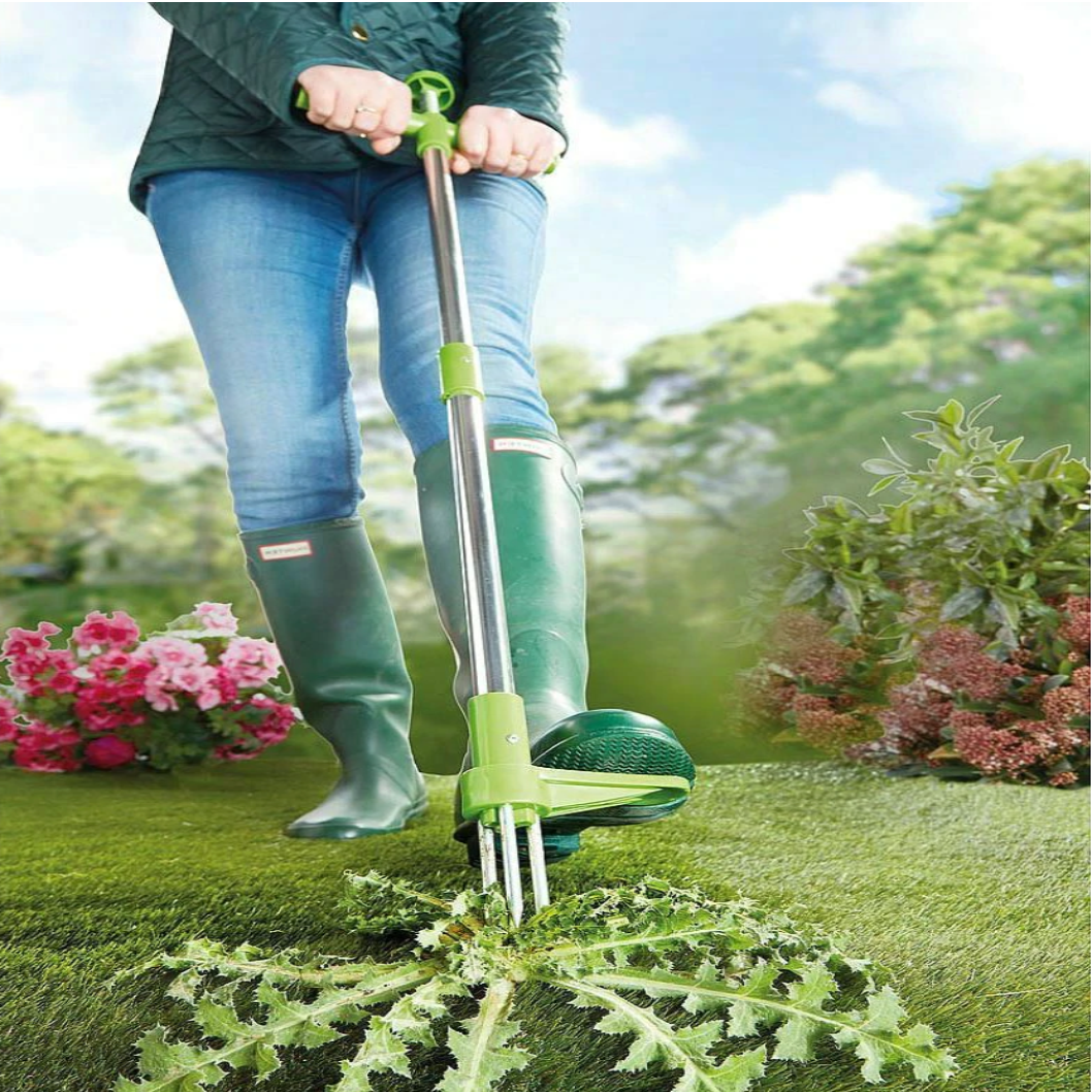 Foot Pedal Root Remover Tool with Stainless Steel Claws