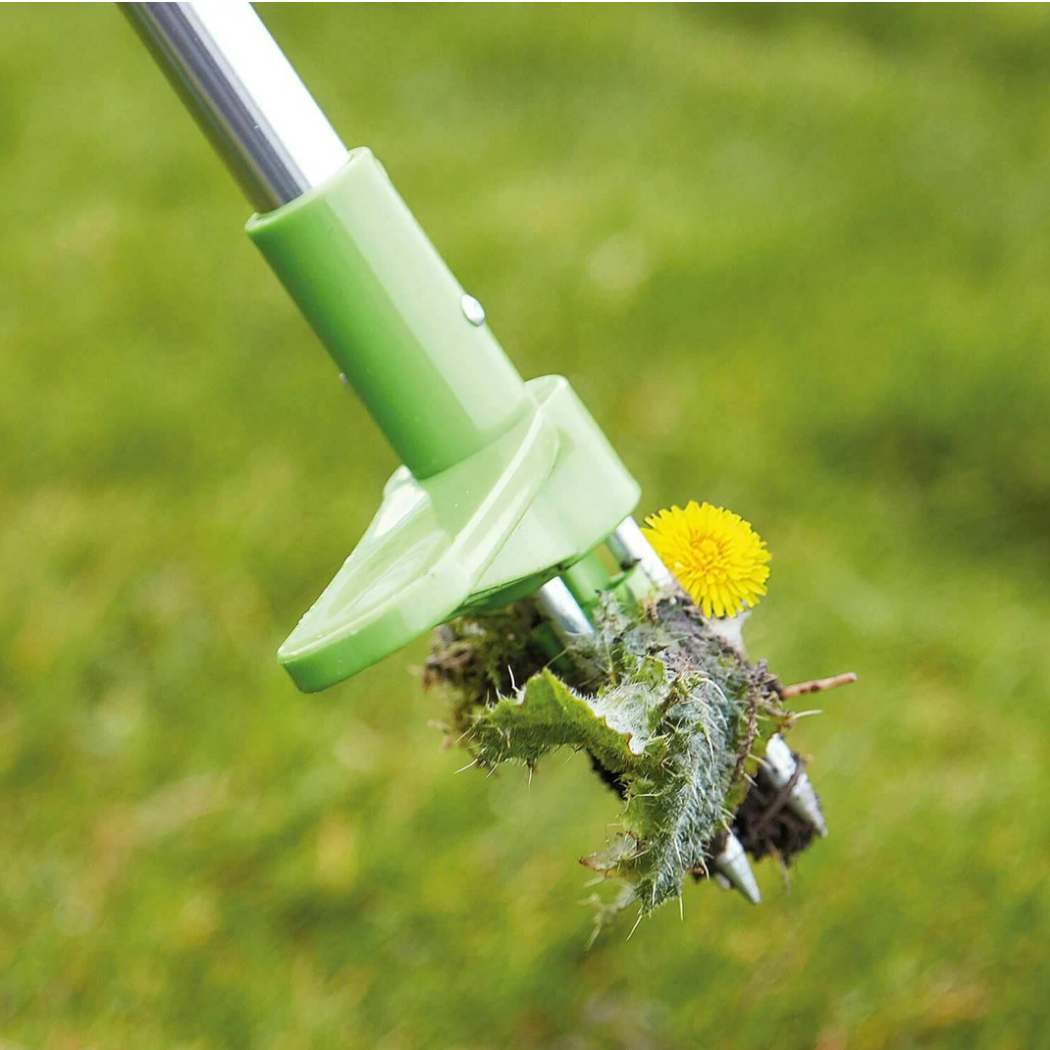 Foot Pedal Root Remover Tool with Stainless Steel Claws