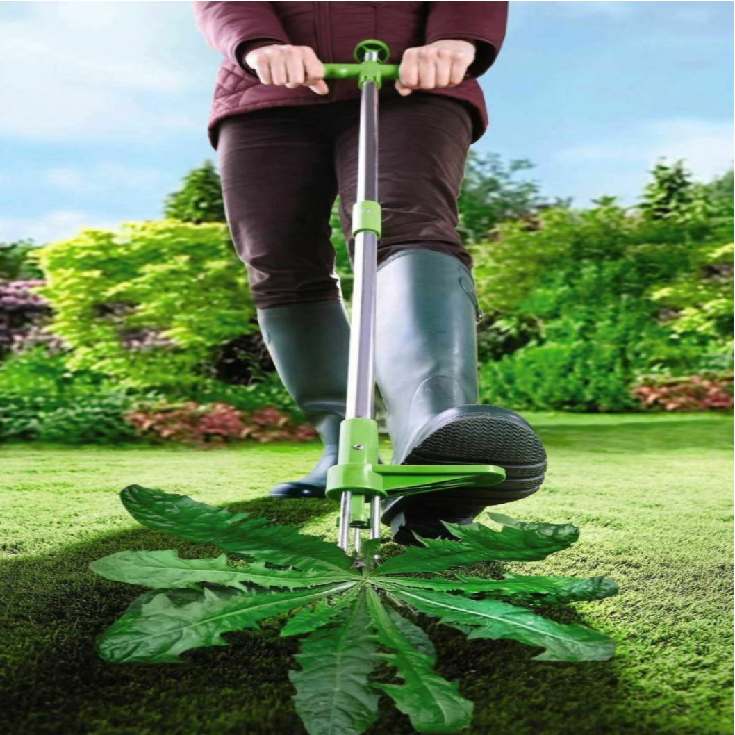 Foot Pedal Root Remover Tool with Stainless Steel Claws