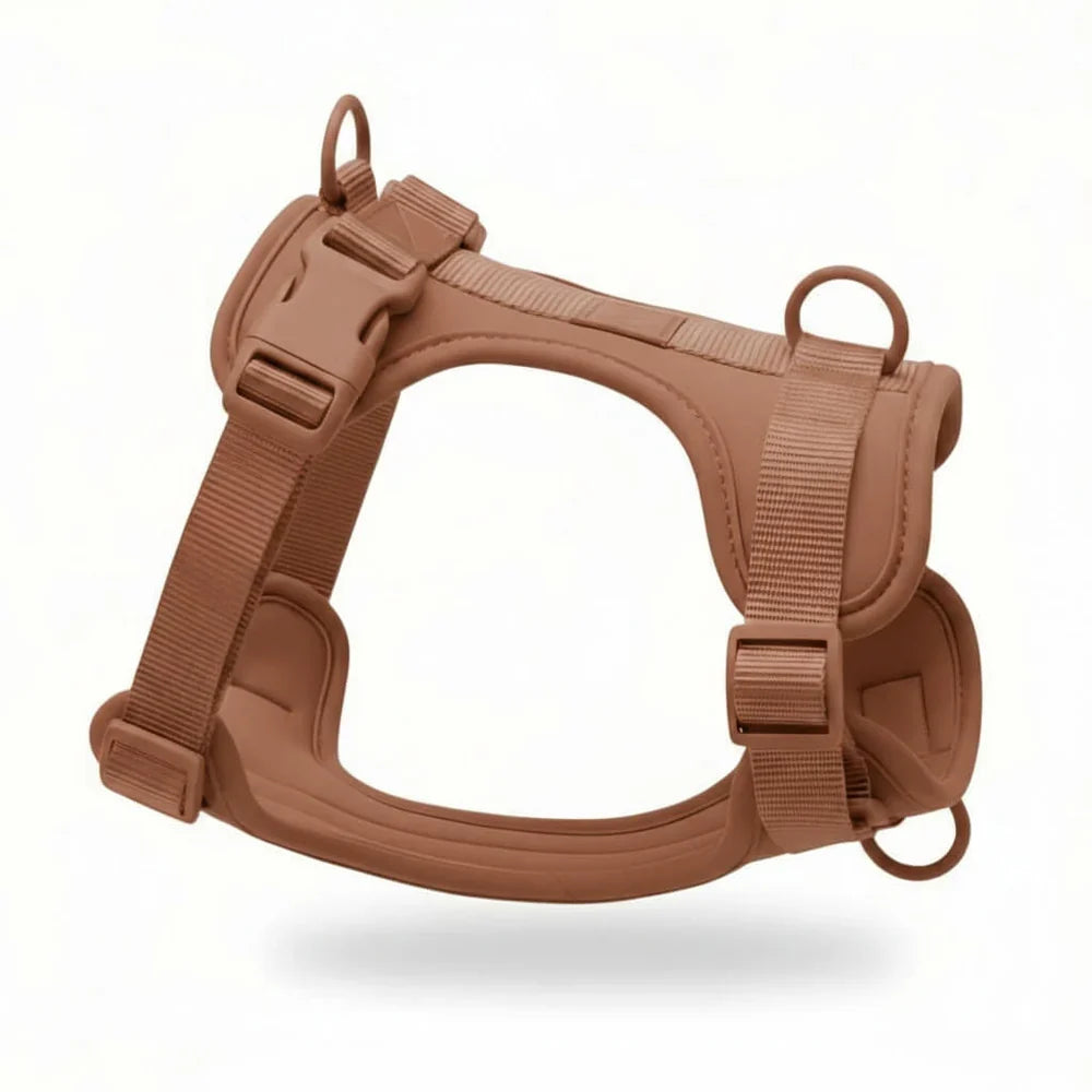 Lightweight Nylon Dog Harness with Mesh Padding and Adjustable Straps